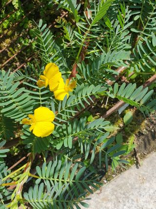 안비님의 자유주제 · 자유게시판 작성글 사진