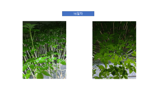 정봉원님의 자유주제 · 자유게시판 작성글 사진