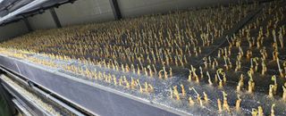 정봉원님의 자유주제 · 자유게시판 작성글 사진