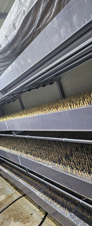 정봉원님의 자유주제 · 자유게시판 작성글 사진