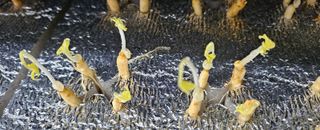 정봉원님의 자유주제 · 자유게시판 작성글 사진