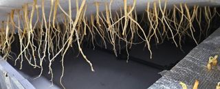 정봉원님의 자유주제 · 자유게시판 작성글 사진