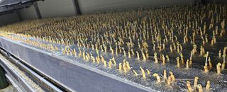 정봉원님의 자유주제 · 자유게시판 작성글 사진