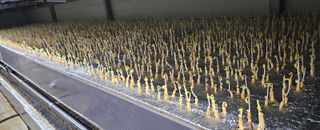 정봉원님의 자유주제 · 자유게시판 작성글 사진