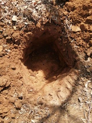 정봉원님의 자유주제 · 자유게시판 작성글 사진