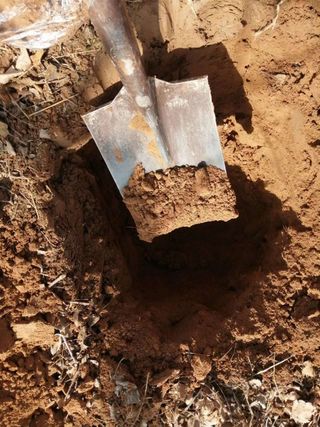 정봉원님의 자유주제 · 자유게시판 작성글 사진