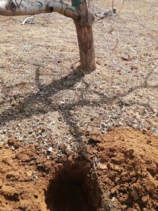 정봉원님의 자유주제 · 자유게시판 작성글 사진