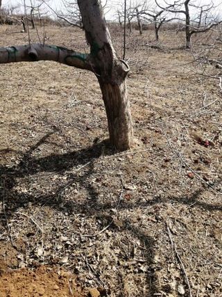 정봉원님의 자유주제 · 자유게시판 작성글 사진