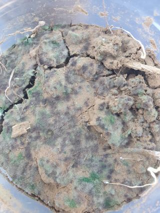 정봉원님의 자유주제 · 자유게시판 작성글 사진