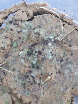 정봉원님의 자유주제 · 자유게시판 작성글 사진