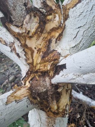 김용대님의 자유주제 · 자유게시판 작성글 사진