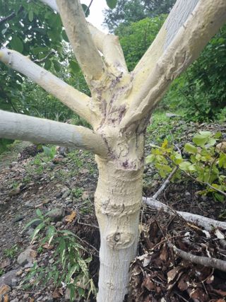 김용대님의 자유주제 · 자유게시판 작성글 사진