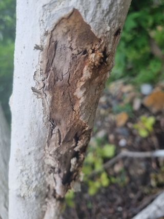 김용대님의 자유주제 · 자유게시판 작성글 사진