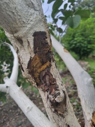 김용대님의 자유주제 · 자유게시판 작성글 사진