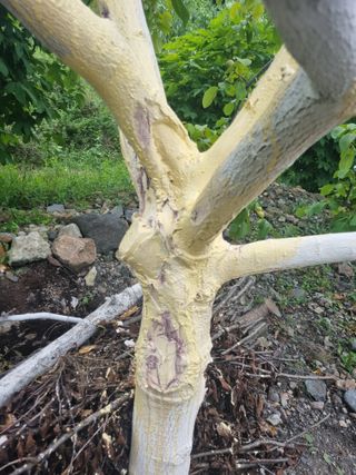 김용대님의 자유주제 · 자유게시판 작성글 사진