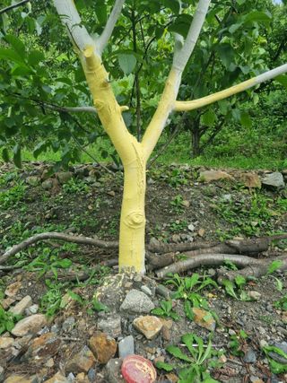 김용대님의 자유주제 · 자유게시판 작성글 사진