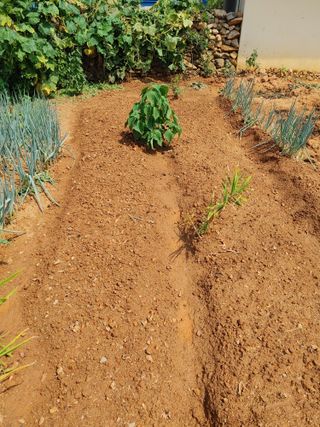 강경옥님의 9월 농사계획 공유하기 · 참여글 작성글 사진
