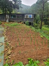 팜모닝 자유주제·자유게시판 게시글 이미지