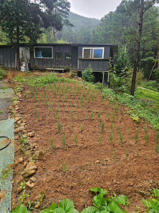 정정애님의 자유주제 · 자유게시판 작성글 사진
