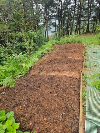 정정애님의 자유주제 · 자유게시판 작성글 사진