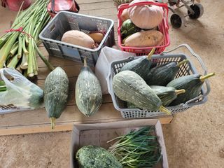 원탑님의 자유주제 · 칭찬해요 작성글 사진