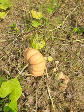 원탑님의 자유주제 · 칭찬해요 작성글 사진