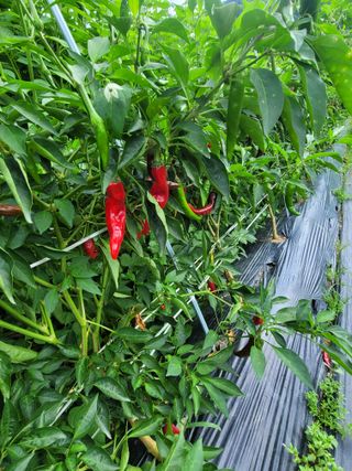 원탑님의 자유주제 · 칭찬해요 작성글 사진