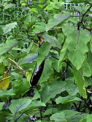 원탑님의 자유주제 · 칭찬해요 작성글 사진