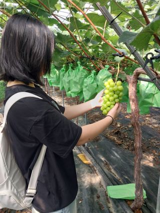 이옥신님의 작성글 사진