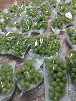 이옥신님의 작성글 사진