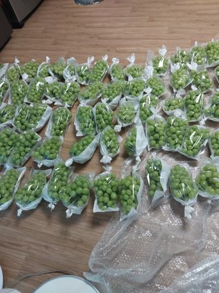 이옥신님의 작성글 사진