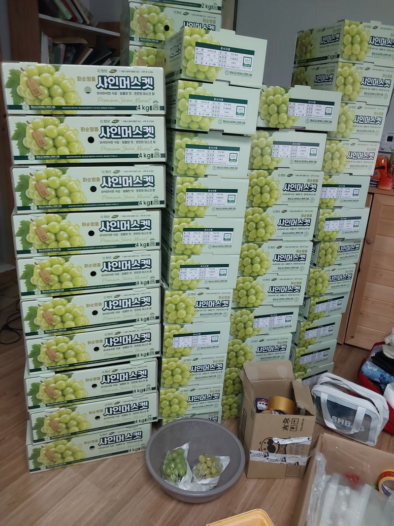 이옥신님의 장터 판매 상품 [샤인머스켓 2kg] 첨부 사진