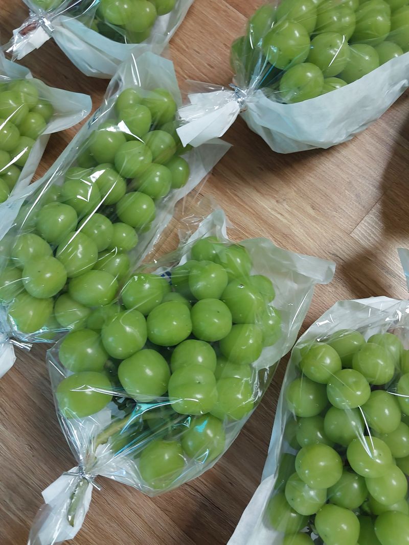 이옥신님의 장터 판매 상품 [샤인머스켓 2kg] 첨부 사진