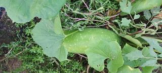 김진영님의 자유주제 · 자유게시판 작성글 사진