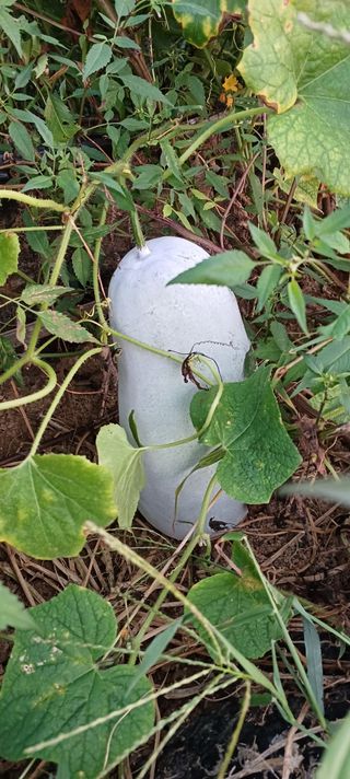 김진영님의 자유주제 · 자유게시판 작성글 사진