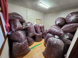 임상원님의 자유주제 · 자유게시판 작성글 사진