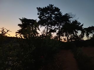 수정엄마입니다!님의 기타작물 · 영농일지 작성글 사진