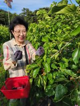 팜모닝 기타작물·영농일지 게시글 이미지