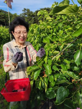 흰돌농원님의 기타작물 · 영농일지 작성글 사진