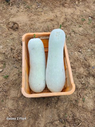 성낙신 님의 자유주제 · 자유게시판 작성글 사진