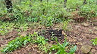 순천채승묵님의 기타작물 · 영농일지 작성글 사진