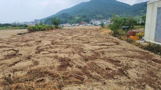 돌산갓농부(김승렬)님의 기타작물 · 영농일지 작성글 사진