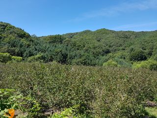 아름다운맘님의 팜모닝 · 출석 작성글 사진