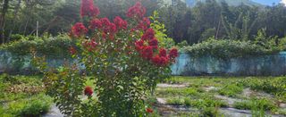 샘골농장 마음만청춘님의 자유주제 · 자유게시판 작성글 사진