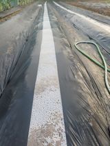 팜모닝 기타작물·영농일지 게시글 이미지