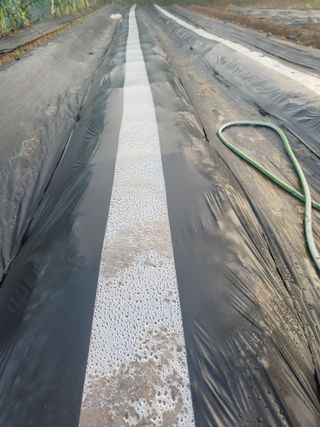 이제윤님의 기타작물 · 영농일지 작성글 사진