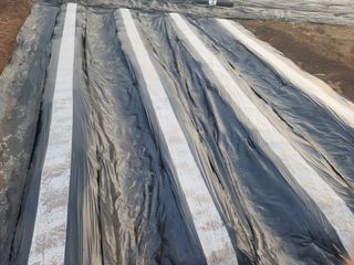 이제윤님의 기타작물 · 영농일지 작성글 사진