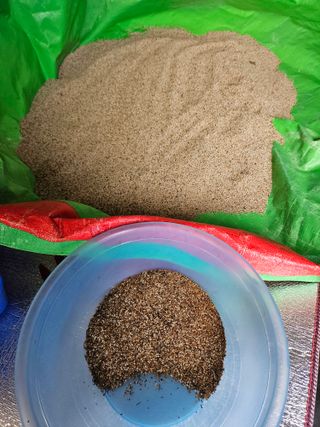 마중물0715님의 참깨 · 영농일지 작성글 사진