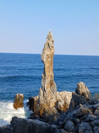 고영희님의 고구마 · 영농일지 작성글 사진