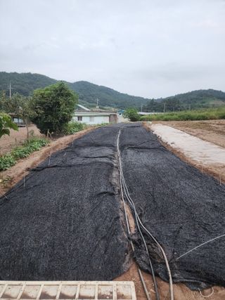 박정석님의 작성글 사진